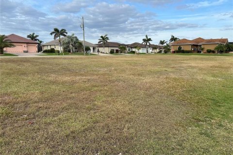 Terrain à vendre à Punta Gorda, Floride № 2360345 - photo 4