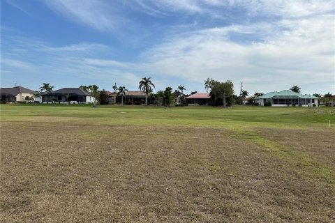 Terrain à vendre à Punta Gorda, Floride № 2360345 - photo 6