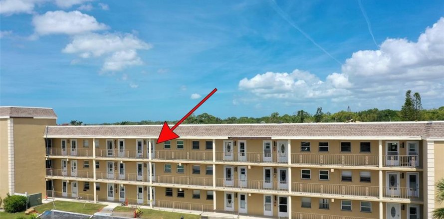 Condo à Saint Petersburg, Floride, 1 chambre  № 1625492