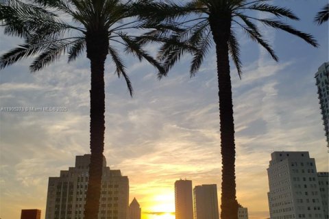 Copropriété à louer à Miami, Floride: 52.68 m2 № 1956623 - photo 13