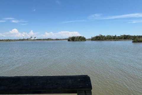 Land in Citrus Springs, Florida № 2118485 - photo 3