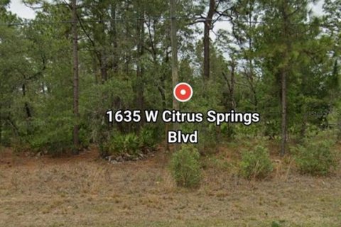 Land in Citrus Springs, Florida № 2118485 - photo 2