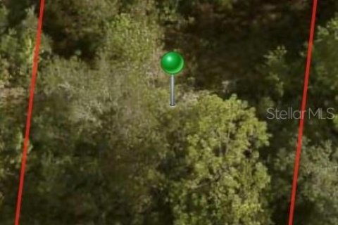 Land in Citrus Springs, Florida № 2163336