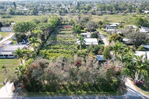 Commercial property in Okeechobee, Florida № 2248476 - photo 19