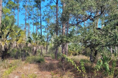 Land in LaBelle, Florida № 2021042 - photo 2