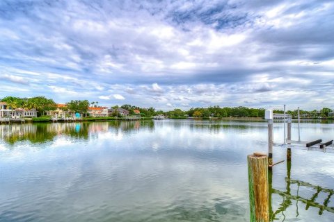 Land in Tampa, Florida № 840946 - photo 5