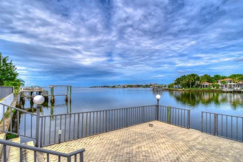Land in Tampa, Florida № 840946 - photo 4