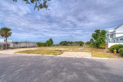 Land in Tampa, Florida № 840946 - photo 11