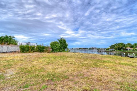 Land in Tampa, Florida № 840946 - photo 10