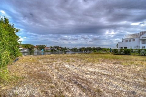 Land in Tampa, Florida № 840946 - photo 9