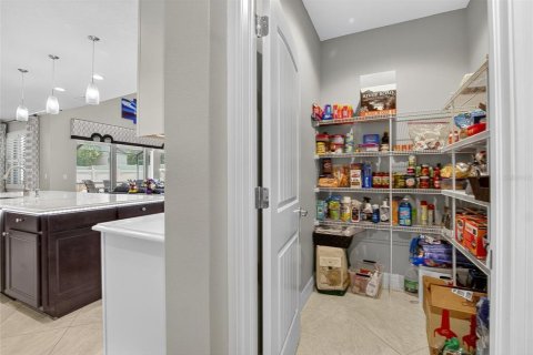Villa ou maison à vendre à Riverview, Floride: 4 chambres, 405.98 m2 № 1821349 - photo 17