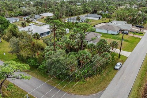 Land in Port Charlotte, Florida № 2158672 - photo 2