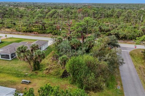 Land in Port Charlotte, Florida № 2158672 - photo 3
