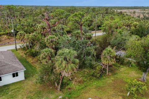 Land in Port Charlotte, Florida № 2158672 - photo 4