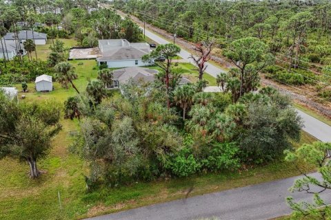 Land in Port Charlotte, Florida № 2158672