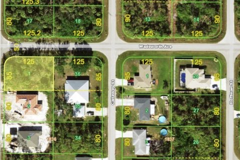 Land in Port Charlotte, Florida № 2158672 - photo 7