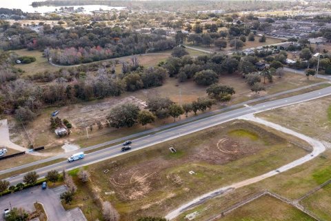 Land in Tavares, Florida № 1616434 - photo 29