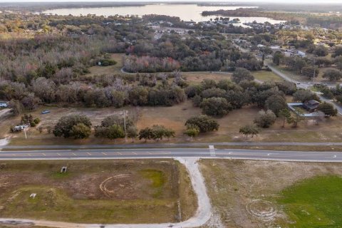 Land in Tavares, Florida № 1616434 - photo 27