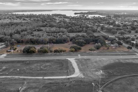 Land in Tavares, Florida № 1616434 - photo 25