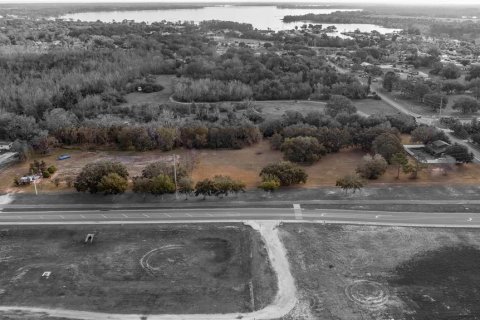 Land in Tavares, Florida № 1616434 - photo 28