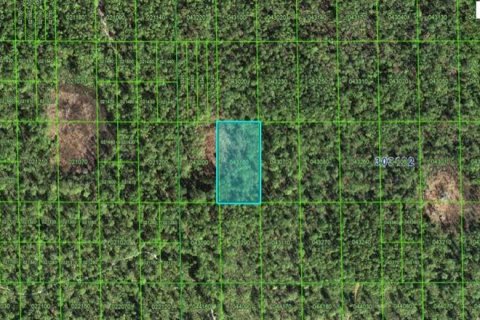 Land in Lake Wales, Florida № 2158934