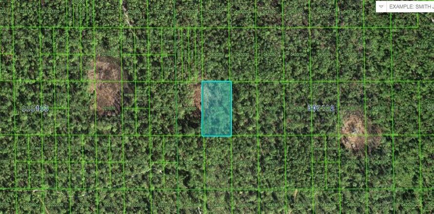 Land in Lake Wales, Florida № 2158934