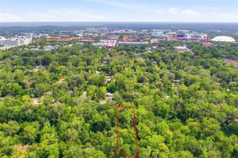 House in Gainesville, Florida 3 bedrooms, 185.9 sq.m. № 2267545 - photo 12