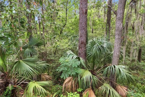 House in Gainesville, Florida 3 bedrooms, 185.9 sq.m. № 2267545 - photo 22