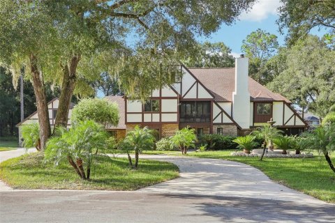 Casa en venta en DeLand, Florida, 5 dormitorios, 375.51 m2 № 1342577 - foto 3