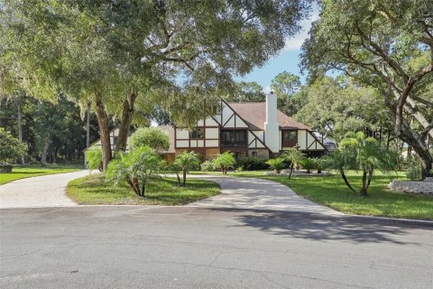 Casa en venta en DeLand, Florida, 5 dormitorios, 375.51 m2 № 1342577 - foto 2