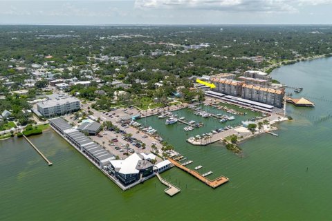 Condominio en alquiler en Dunedin, Florida, 2 dormitorios, 113.34 m2 № 1852752 - foto 21