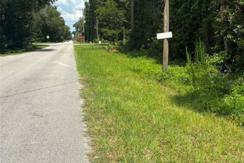 Land in Trenton, Florida № 2204634 - photo 4