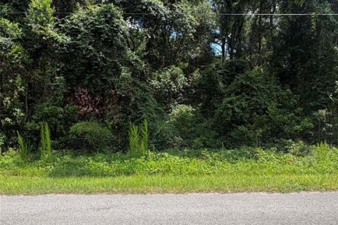 Land in Trenton, Florida № 2204634 - photo 2