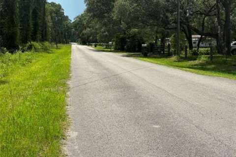 Land in Trenton, Florida № 2204634 - photo 3