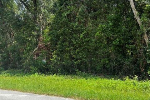 Land in Trenton, Florida № 2204634