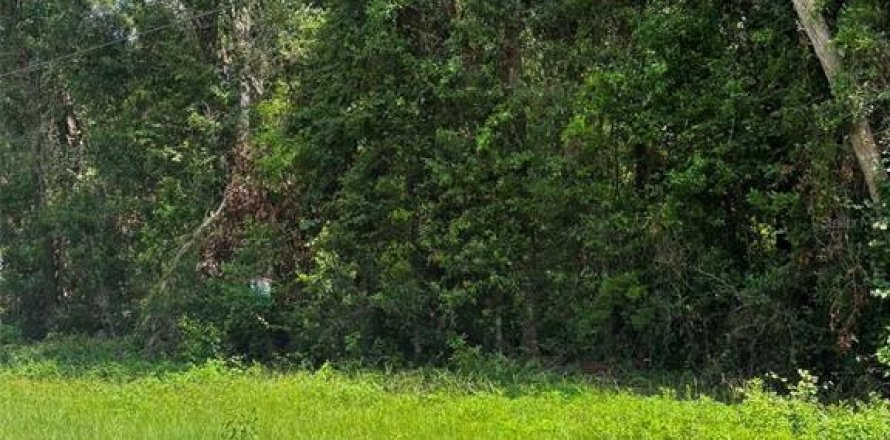 Land in Trenton, Florida № 2204634