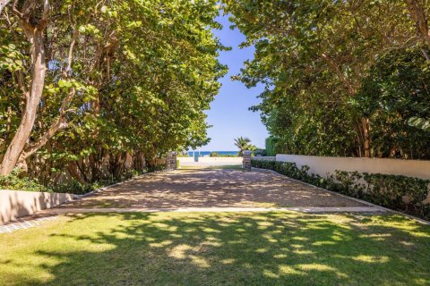 Villa ou maison à vendre à Palm Beach, Floride: 3 chambres, 319.96 m2 № 2081780 - photo 4