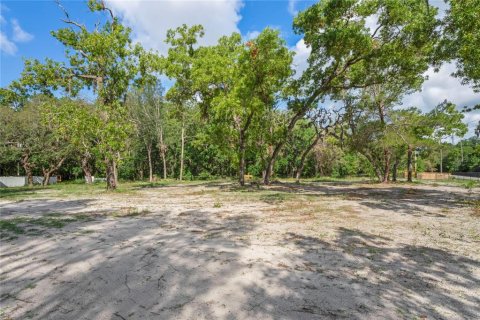 House in Port Richey, Florida 2 bedrooms, 81.66 sq.m. № 1737137 - photo 23