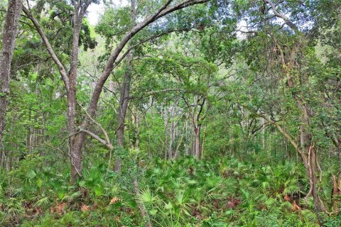 House in Port Richey, Florida 2 bedrooms, 81.66 sq.m. № 1737137 - photo 17