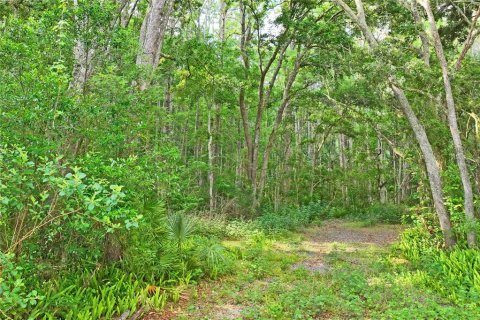 House in Port Richey, Florida 2 bedrooms, 81.66 sq.m. № 1737137 - photo 19
