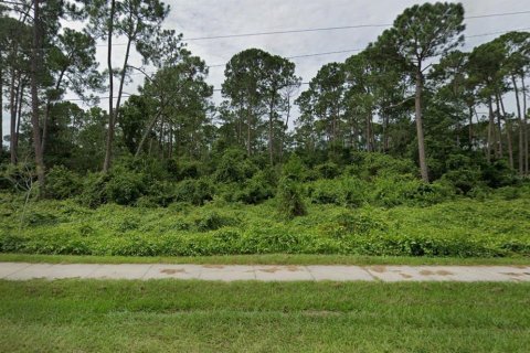 Land in Deltona, Florida № 2371089 - photo 2