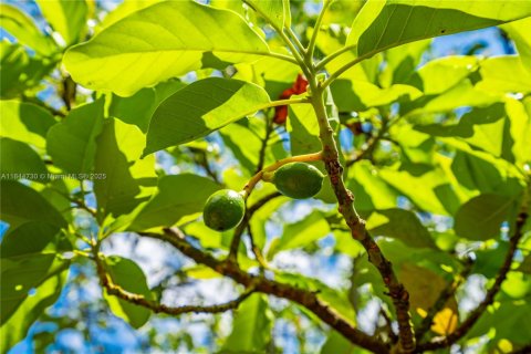 Terrain à vendre à Homestead, Floride № 1940324 - photo 22