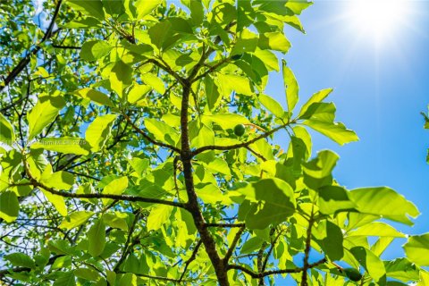 Terrain à vendre à Homestead, Floride № 1940324 - photo 21