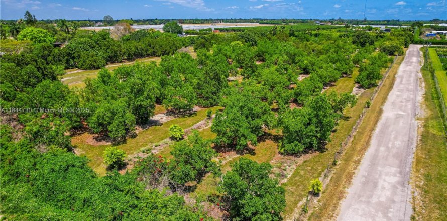 Terrain à Homestead, Floride № 1940324
