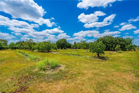 Terrain à vendre à Homestead, Floride № 1940324 - photo 15