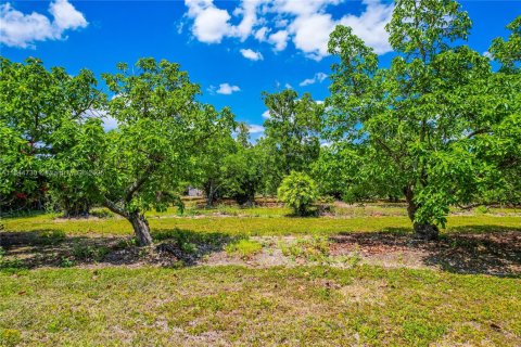 Terrain à vendre à Homestead, Floride № 1940324 - photo 14