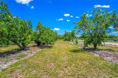 Terrain à vendre à Homestead, Floride № 1940324 - photo 16