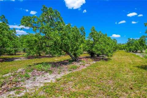 Terrain à vendre à Homestead, Floride № 1940324 - photo 18