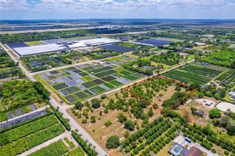 Terrain à vendre à Homestead, Floride № 1940324 - photo 5