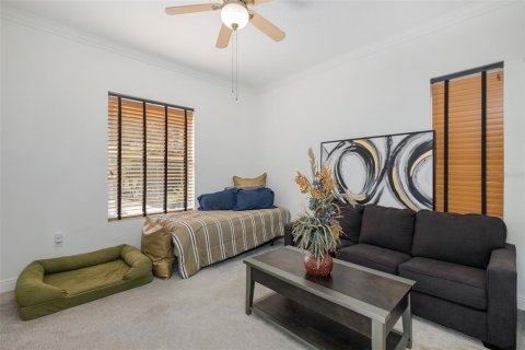 House in Trinity, Florida 6 bedrooms, 477.42 sq.m. № 2285049 - photo 24